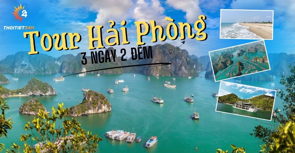 Tour Hải Phòng 3 Ngày 2 Đêm: Hành Trình Khám Phá Và Trải Nghiệm Độc Đáo